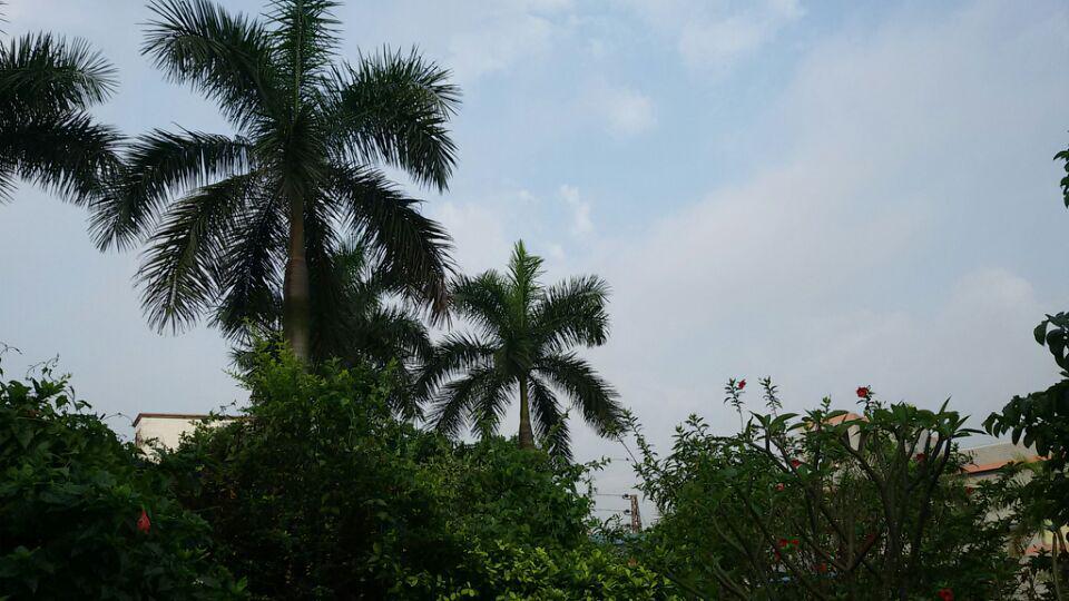 公司召開《2014 公司召開《2014