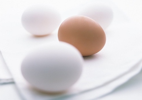 第二屆“中國蛋品加工業十大杰出青年英才”申請推薦表 第二屆“中國蛋品加工業十大杰出青年英才”申請推薦表