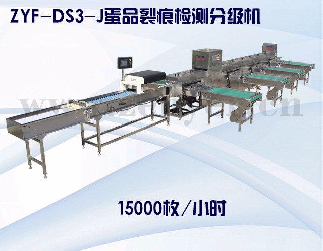 蛋品智能設備在傳統再制蛋上的應用 蛋品智能設備在傳統再制蛋上的應用