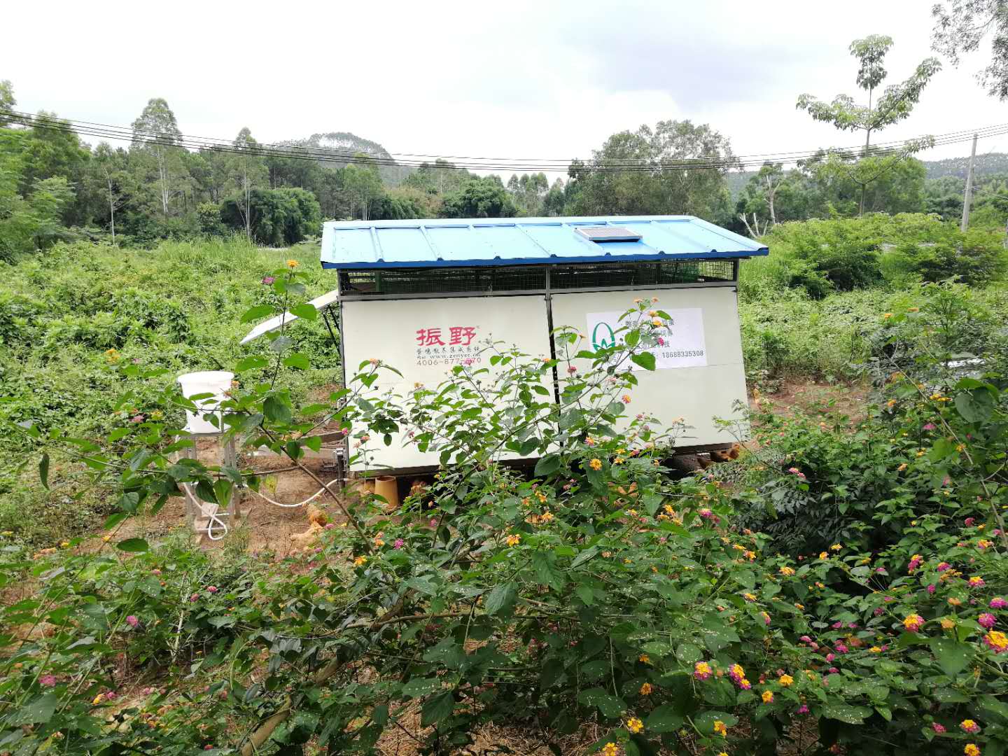 揭露我國當今現行優秀的福利養雞模式