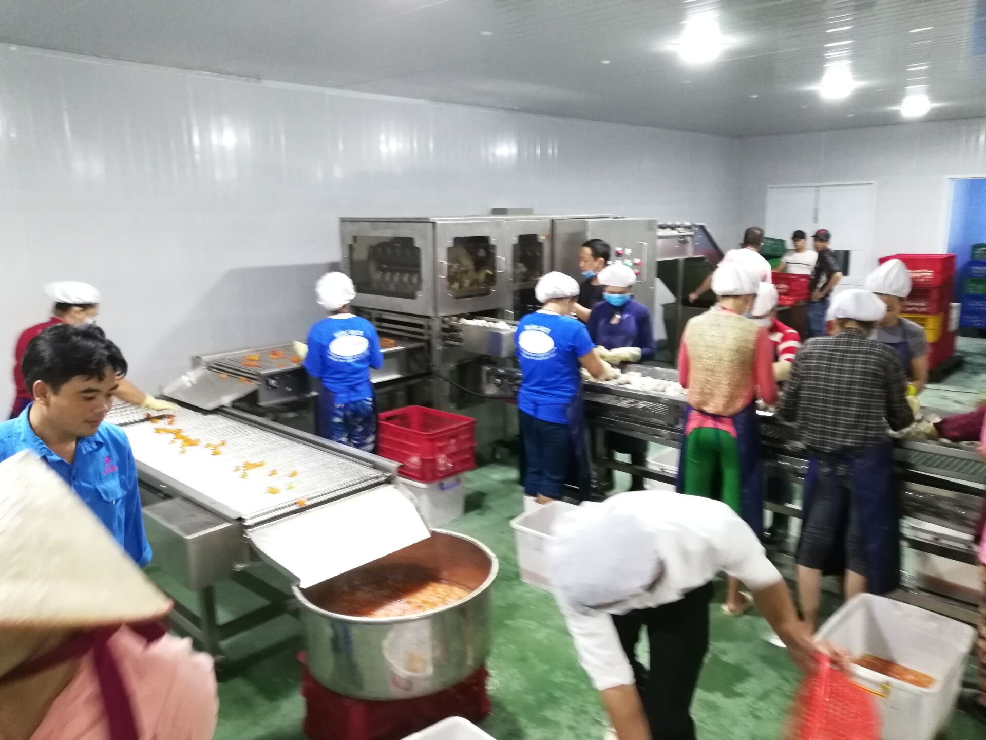 振野蛋黃加工設備在越南 振野蛋黃加工設備在越南