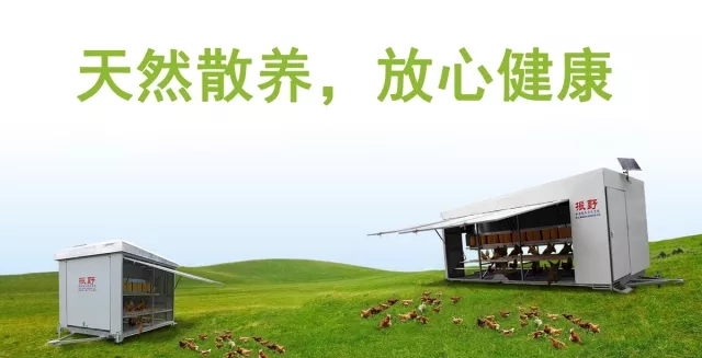 拒做“化妝”土雞蛋,我們有蛋雞散養集成系統 拒做“化妝”土雞蛋,我們有蛋雞散養集成系統