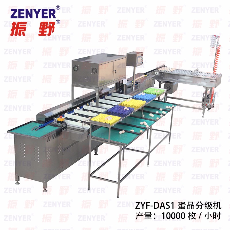 【振野產品推薦】ZYF-DAS1蛋品分級機 【振野產品推薦】ZYF-DAS1蛋品分級機