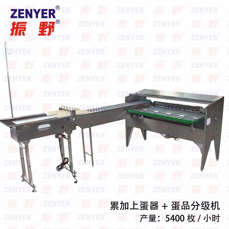 【振野產品推薦】ZYF-JS3-L蛋品分級機 【振野產品推薦】ZYF-JS3-L蛋品分級機