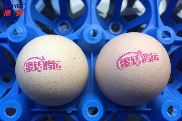 【振野產品推薦】高解析整盤蛋品噴碼機 【振野產品推薦】高解析整盤蛋品噴碼機