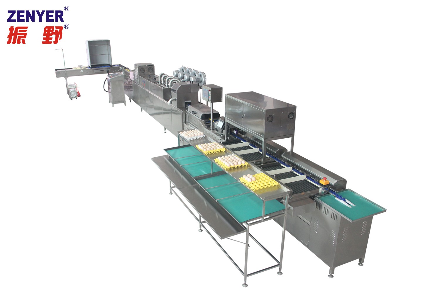 【振野產品推薦】ZYL-JS1-D1-C潔蛋生產線 【振野產品推薦】ZYL-JS1-D1-C潔蛋生產線