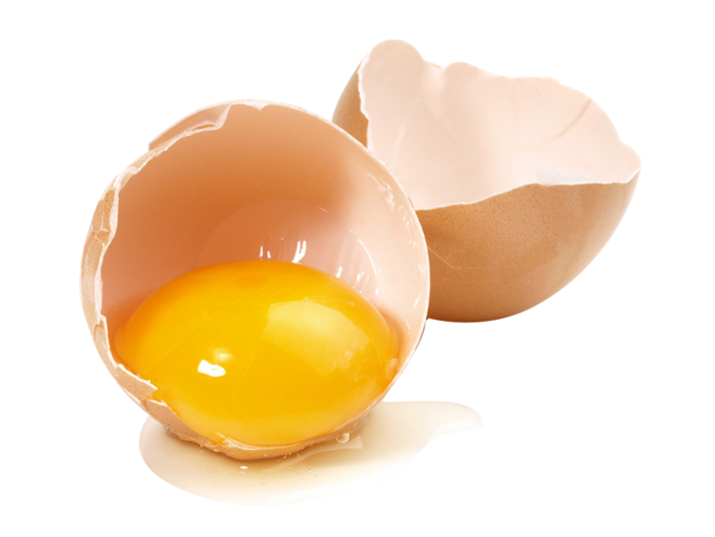 振野新版雞蛋畫冊 振野新版雞蛋畫冊