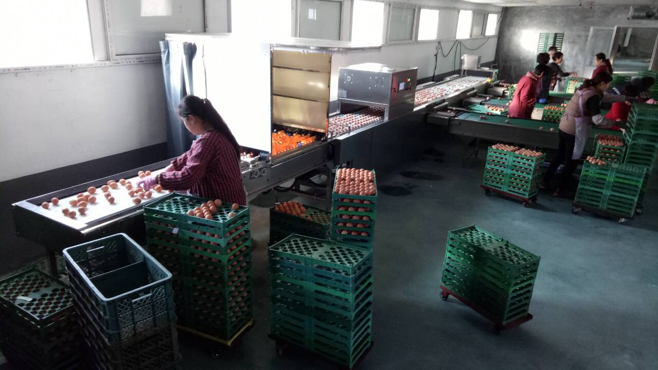 振野電子分級機之山東龍口于高使用現場 振野電子分級機之山東龍口于高使用現場