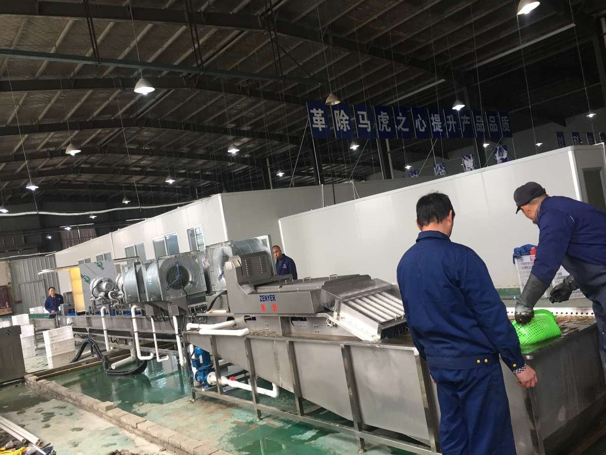 振野皮蛋清洗機之安徽九只鴨使用現場 振野皮蛋清洗機之安徽九只鴨使用現場