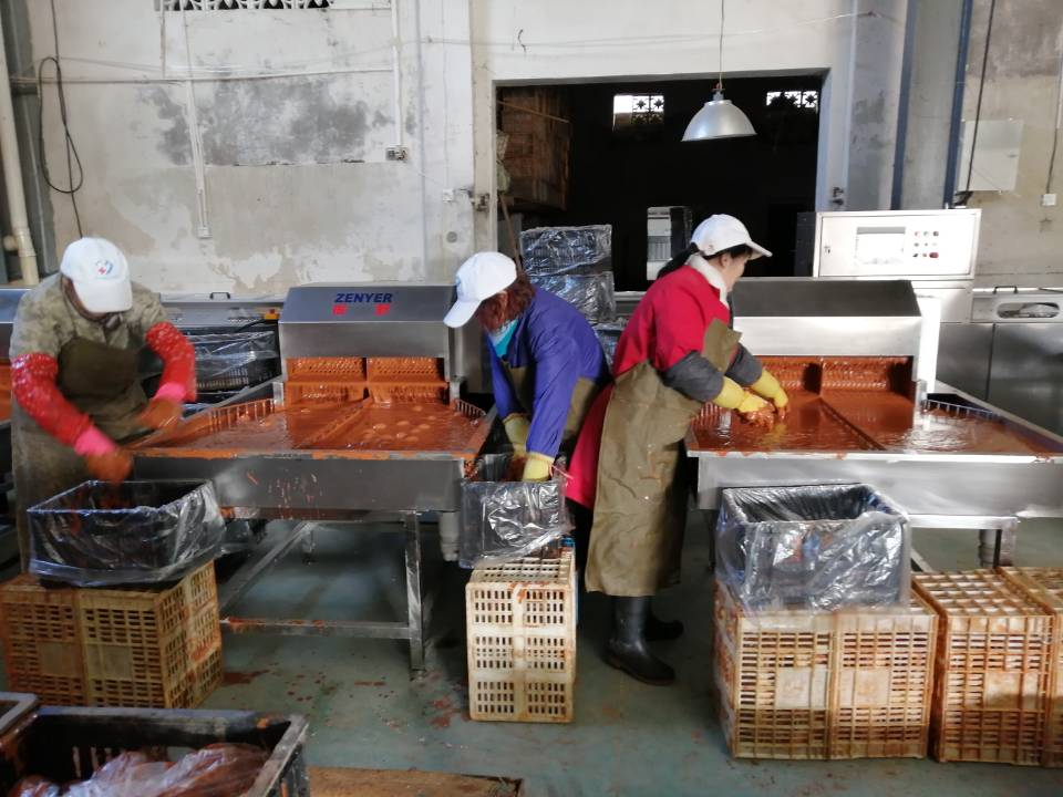 振野裂痕檢測分級機之公安藕池使用現場 振野裂痕檢測分級機之公安藕池使用現場