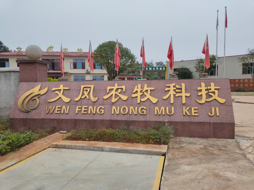 振野潔蛋生產線之雙峰文鳳使用現場 振野潔蛋生產線之雙峰文鳳使用現場