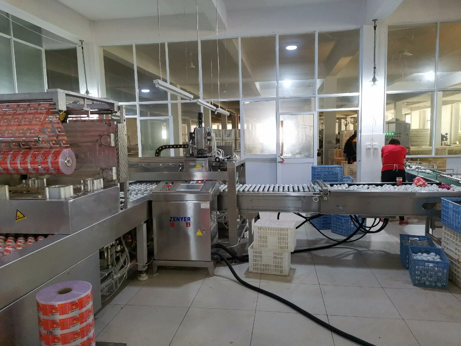 振野機械手上蛋機之高郵郵星使用現場 振野機械手上蛋機之高郵郵星使用現場